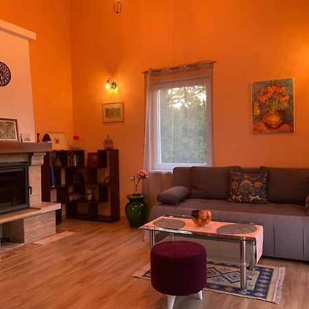 Villa Patrick House Tivat Exterior foto